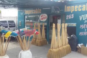 Impecable Art. De Limpieza