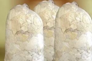 Insumos Textiles SRL