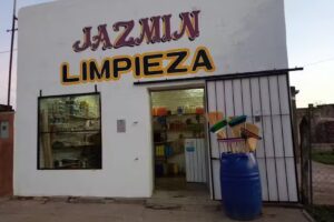 Jazm&iacute;n limpieza