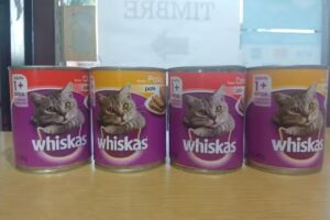 La casa de la limpieza