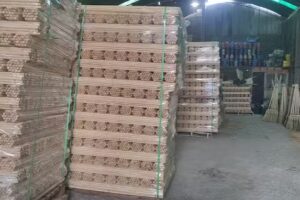 La Casa de las Escobas.