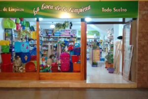 La Loca de la Limpieza