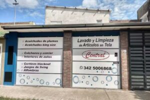 Lavatapizados Central