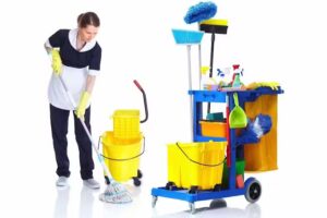 Limpicenter Profesionales En Limpieza Integral