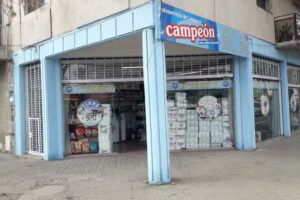 Limpieza Campe&oacute;n