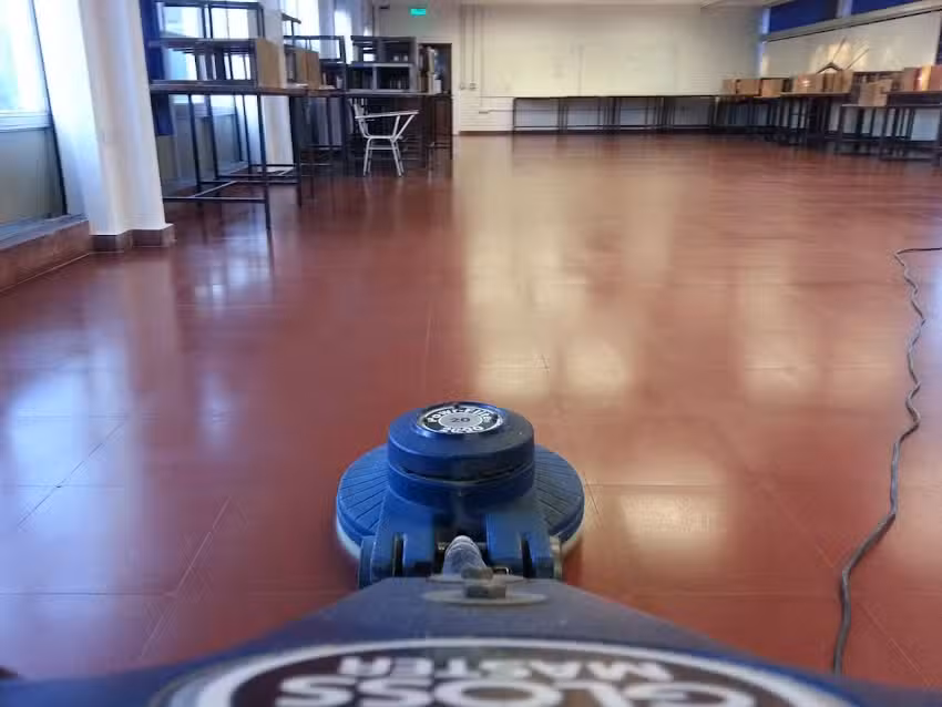Limpieza de Alfombras Redi