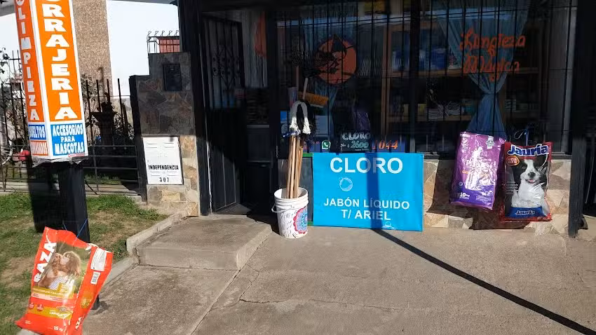 Limpieza M&aacute;gica