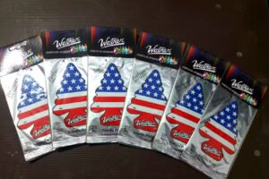 LIMPIEZA &ldquo;SMATA&rdquo;