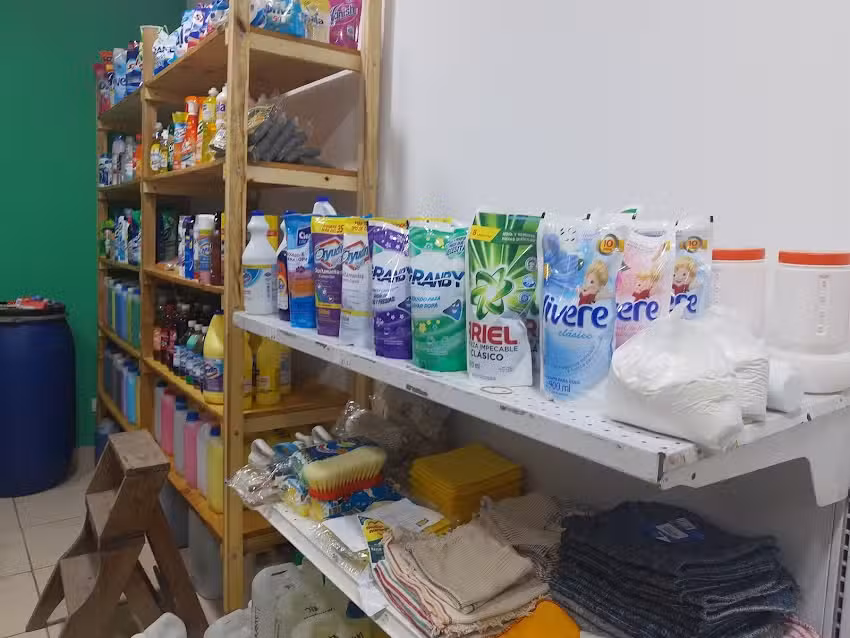 Limplast descartables y art&iacute;culos de limpieza