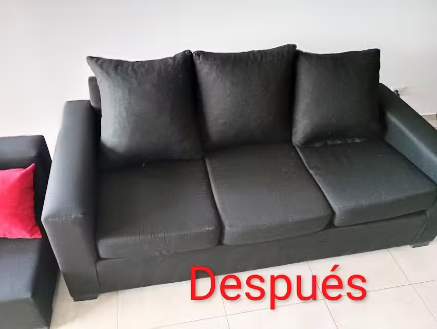 Lubau Limpieza de Tapizados