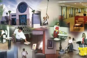 LYSA LIMPIEZA Y SERVICIOS ARAUJO