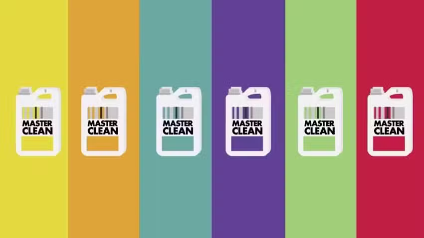 MASTER CLEAN LEDESMA