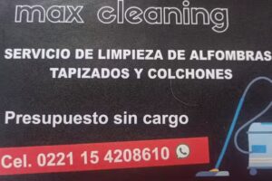 Max cleaning- Limpieza y desinfección de alfombras, tapizados, sillones, butacas y alfombras de autos, etc. Hidrolavados.