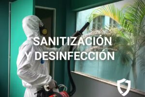 MaxClean Limpieza tapizados en Posadas