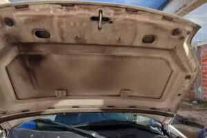 Maximo detailing (lavadero y estetica vehicular)