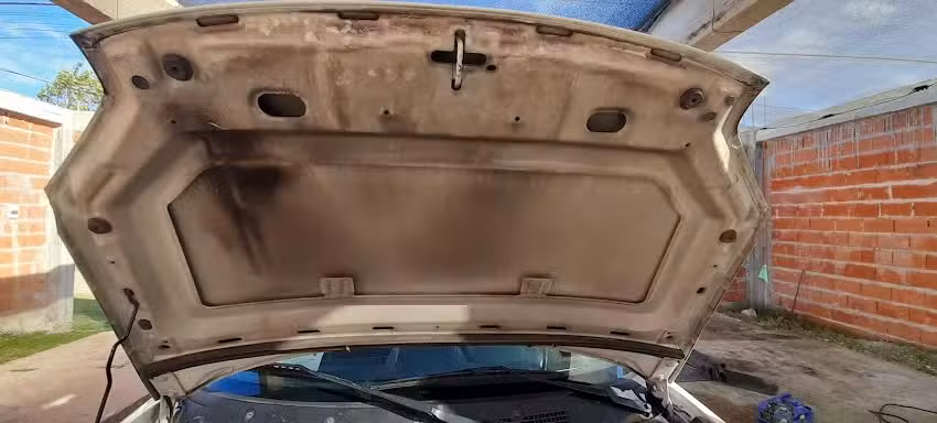 Maximo detailing (lavadero y estetica vehicular)