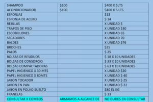 Mayorista de limpieza