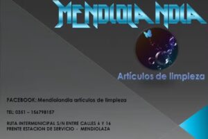 Mendiolandia art&iacute;culos de limpieza