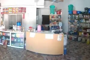 Pepin Art. de Limpieza