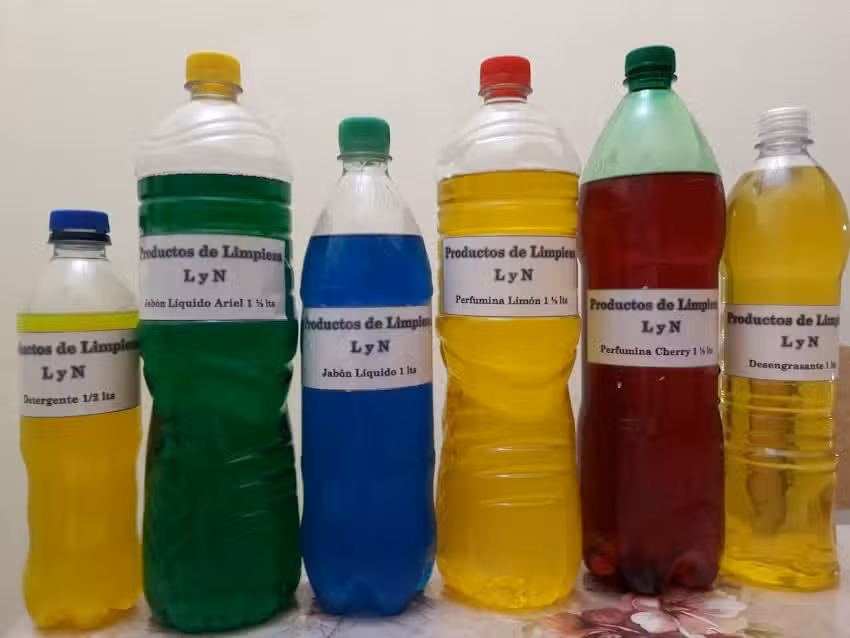 Productos de Limpieza L y N