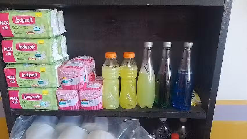 Productos de limpieza LM