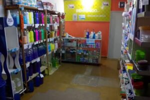 Que Brillo Articulos De Limpieza