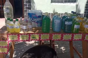 Qu&iacute;mica &ldquo;A y V&rdquo;