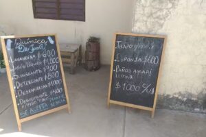 Qu&iacute;mica_&rdquo;De Loir&rdquo;