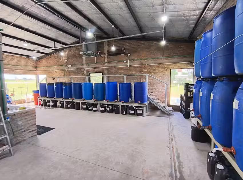 QU&Iacute;MICA ESPINILLO &ndash; FABRICA Y VENTA DE PRODUCTOS DE LIMPIEZA