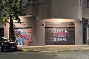 Qu&iacute;mica Ferro