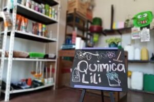 Quimica Lili