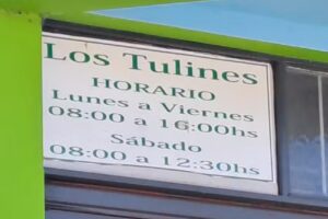 Quimica Los Tulines