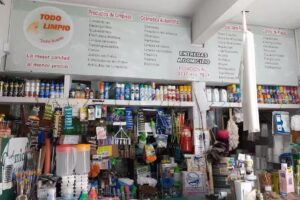 Qu&iacute;mica Todo Limpio, todo suelto