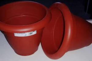 QU&Iacute;MICA XTREME CLEAN