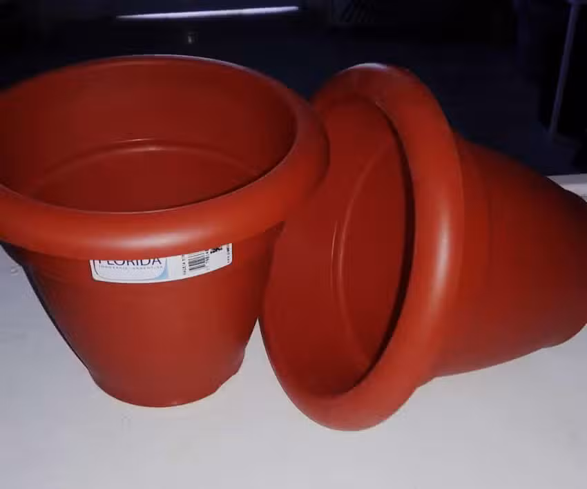 QU&Iacute;MICA XTREME CLEAN