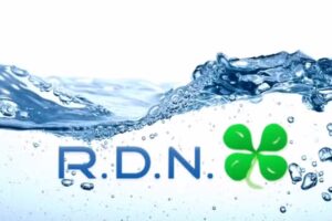 RDN DISTRIBUIDORA MAYORISTA