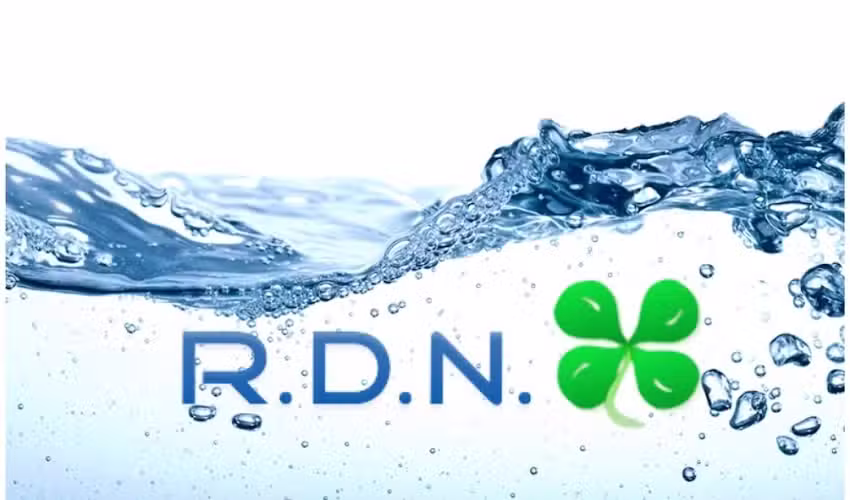 RDN DISTRIBUIDORA MAYORISTA