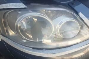 RDT Est&eacute;tica Veh&iacute;cular