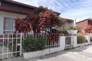 REGIART Sociedad De Responsabilidad Limitada