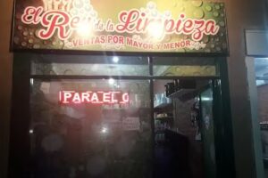 REY DE LA LIMPIEZA