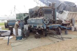 Rosich &ndash; Limpieza, Selecci&oacute;n, Filtrado y Clasificaci&oacute;n de Semillas