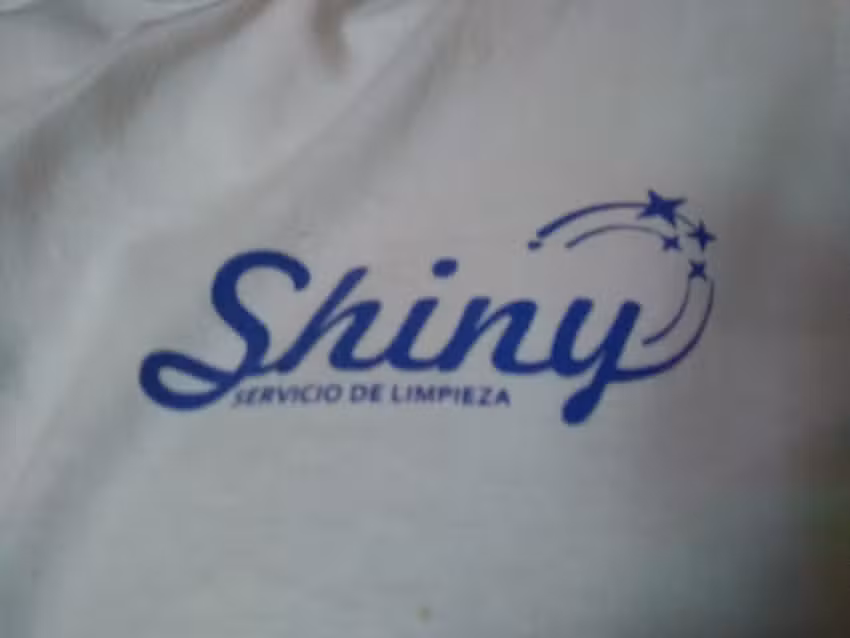 Shiny