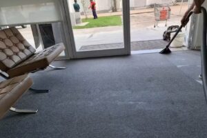 System Cleaner Limpieza de Alfombras y Sillones