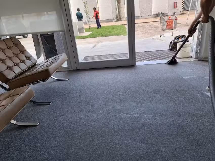 System Cleaner Limpieza de Alfombras y Sillones