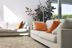 TAPICARE (Limpieza de Sillones, Alfombras y Tapizados de Autos)