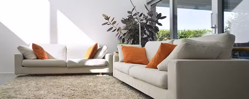 TAPICARE (Limpieza de Sillones, Alfombras y Tapizados de Autos)