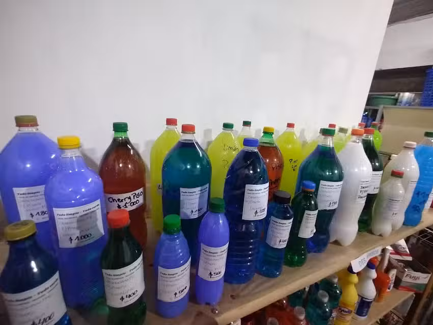 TODO LIMPIO &ndash; TODO VERDE