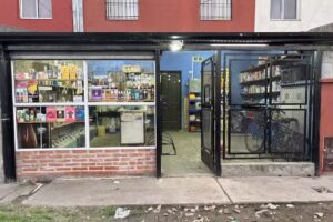 Toxic Shine y Articulos de Limpieza