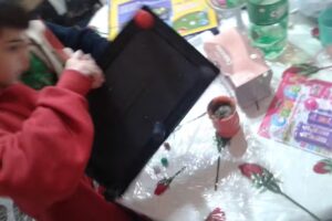 Ventas De Productos De Limpieza