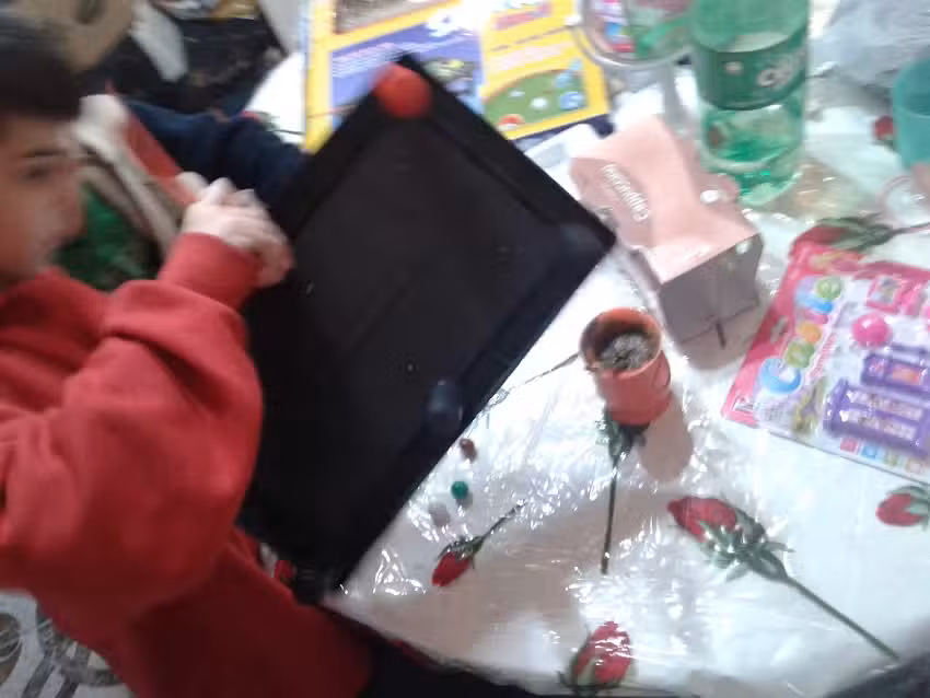 Ventas De Productos De Limpieza